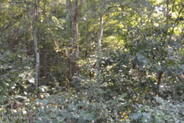 main property photo 18