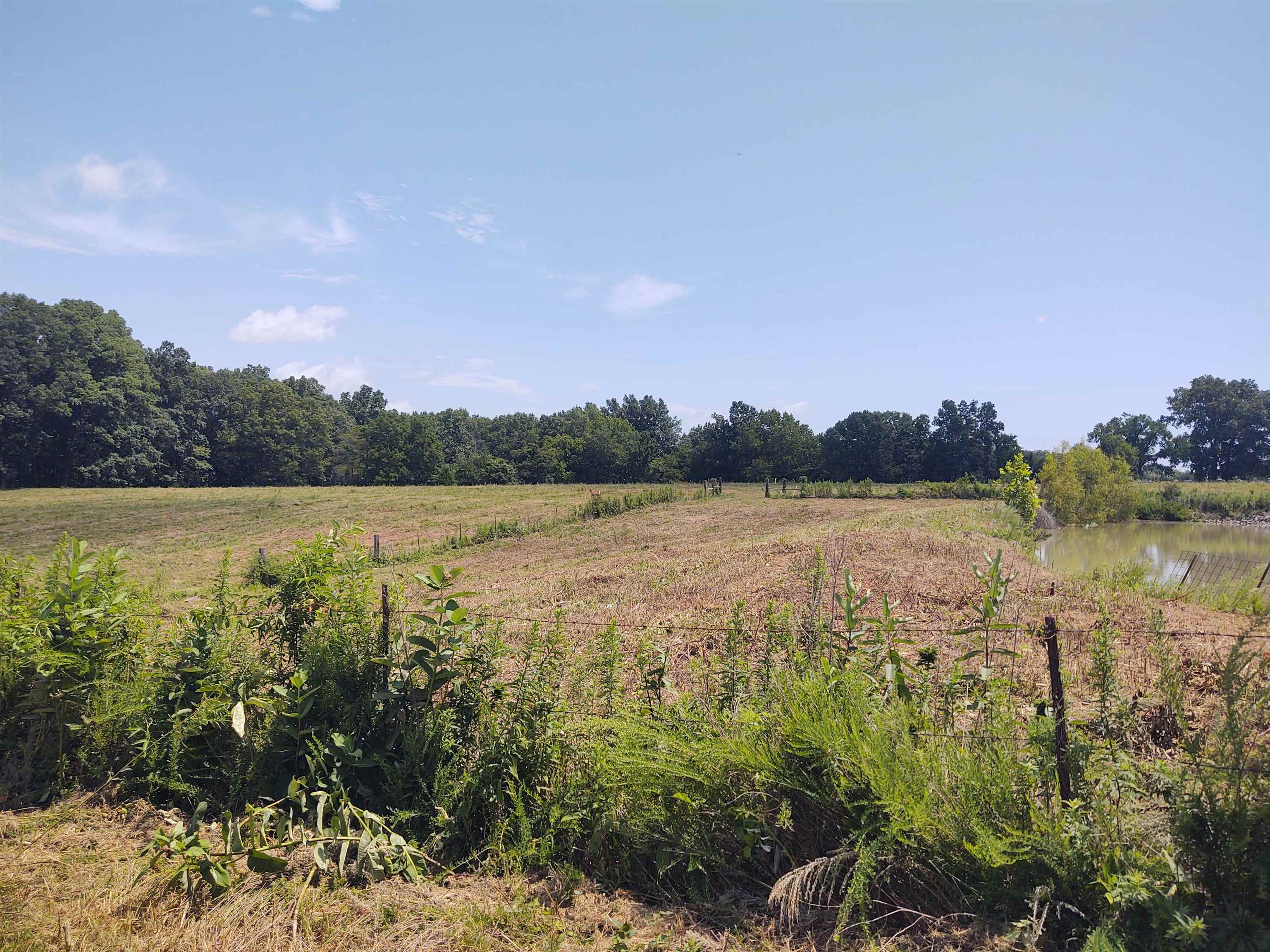 main property photo 11