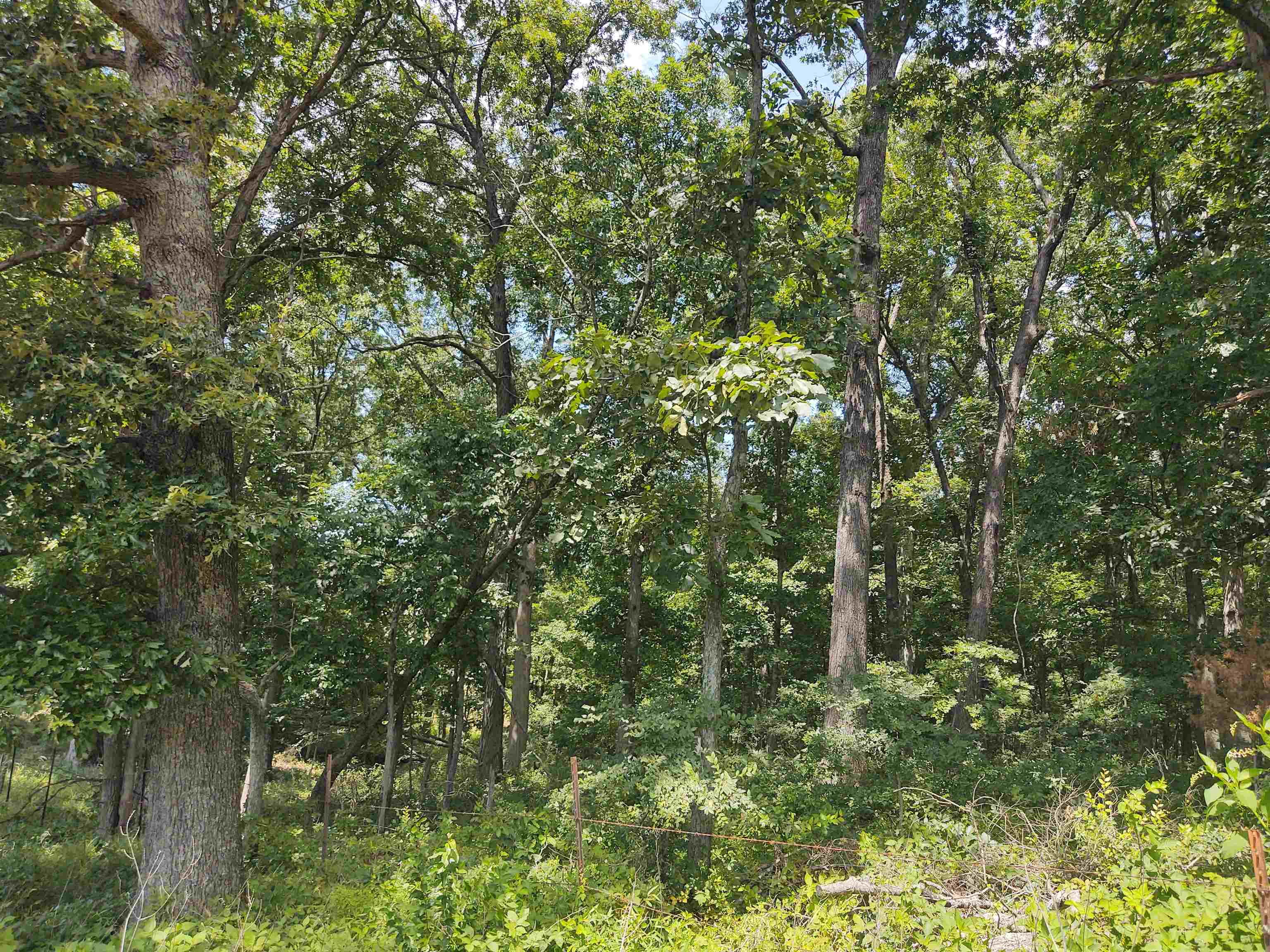 main property photo 13