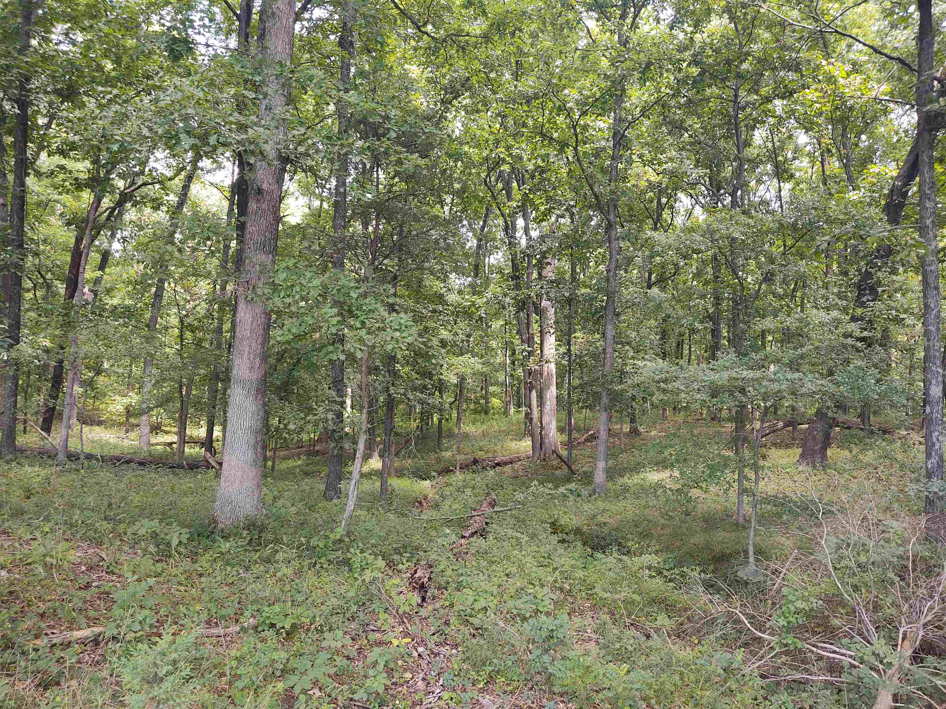 main property photo 15