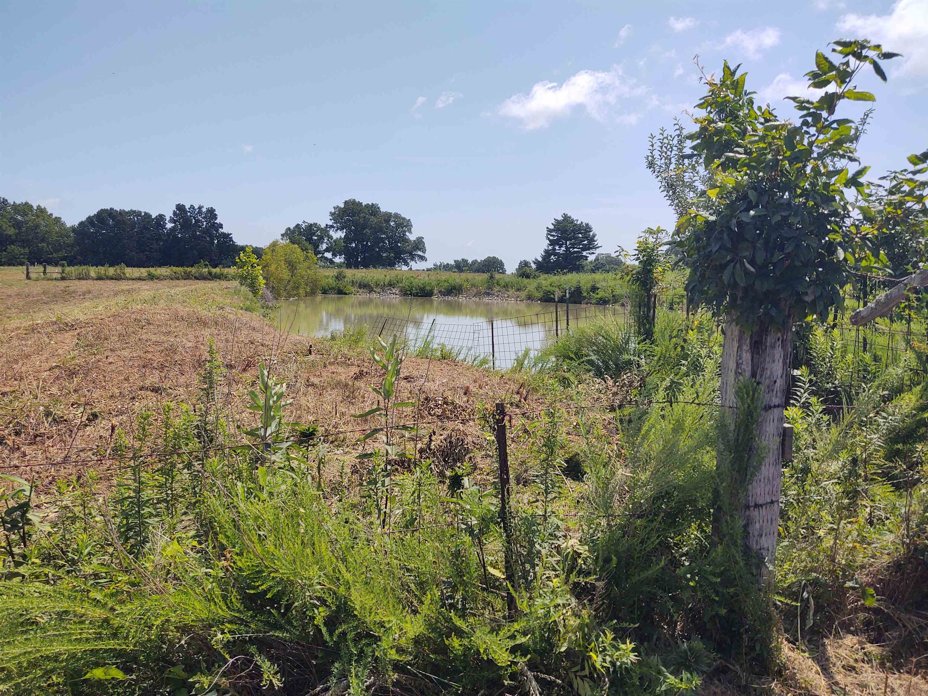 main property photo 6