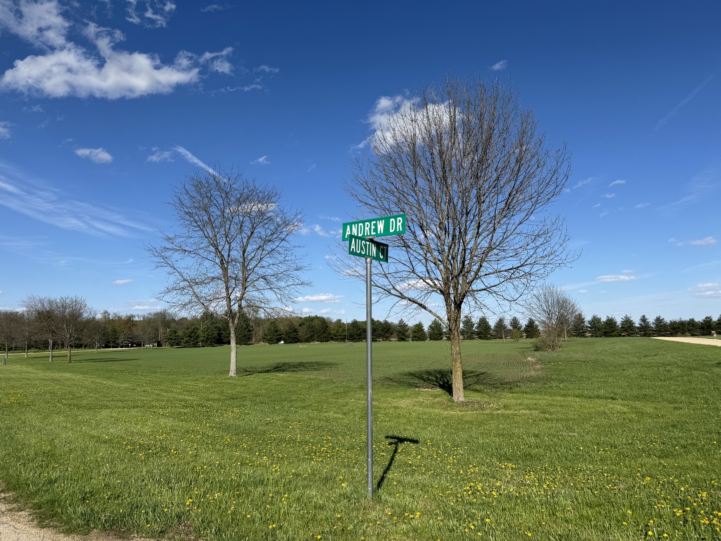 main property photo 4