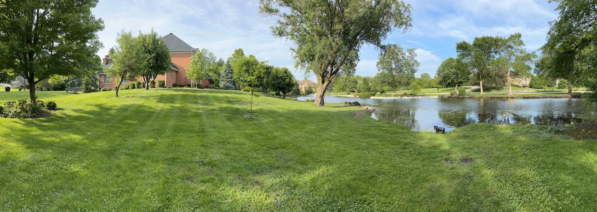 main property photo 33