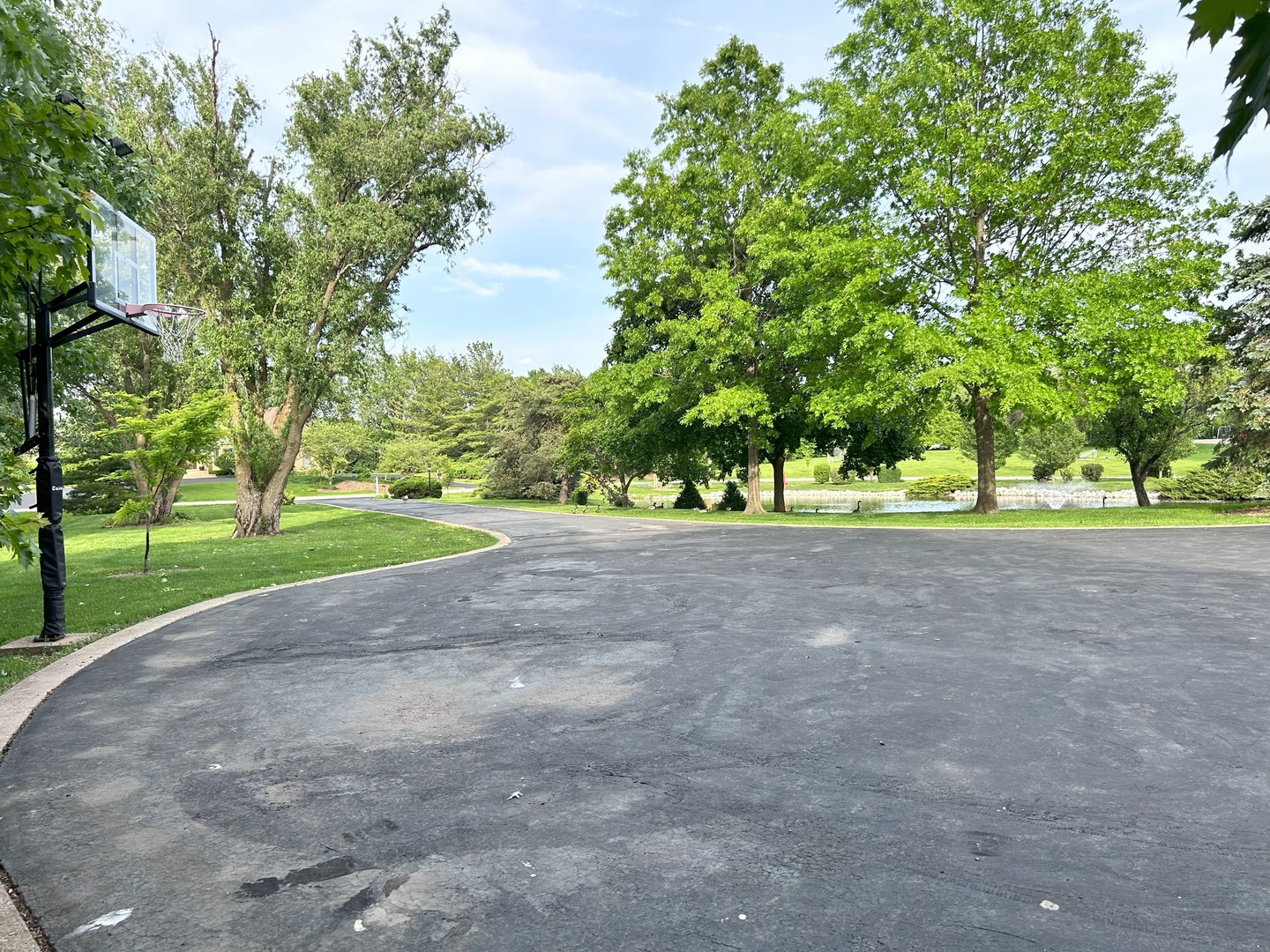 main property photo 42