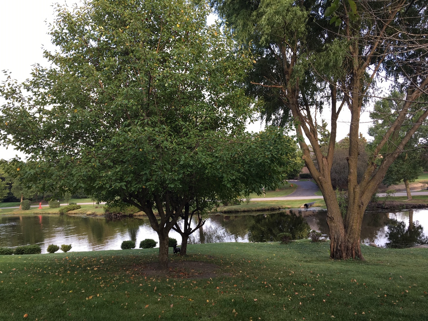 main property photo 49
