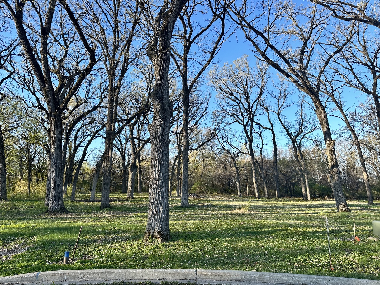 main property photo 10
