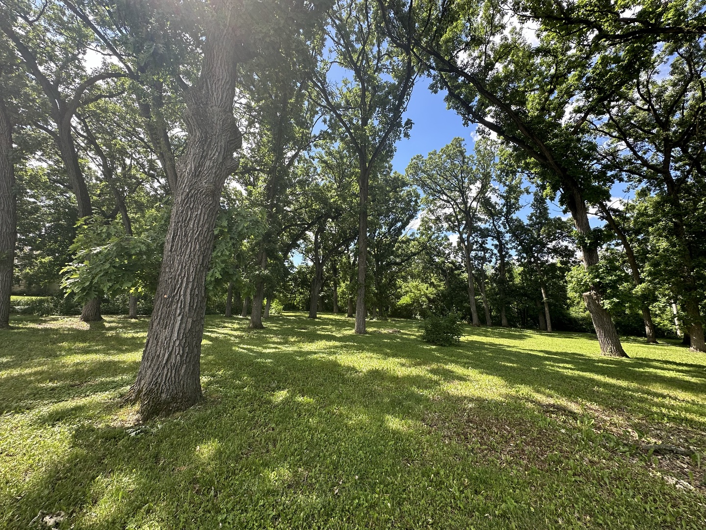 main property photo 6