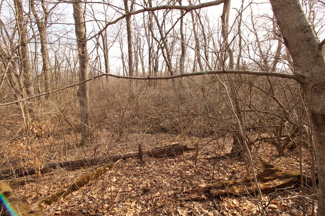 main property photo 3