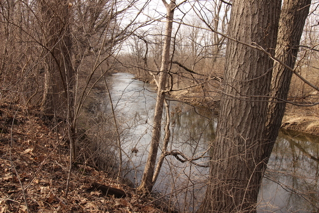 main property photo 4