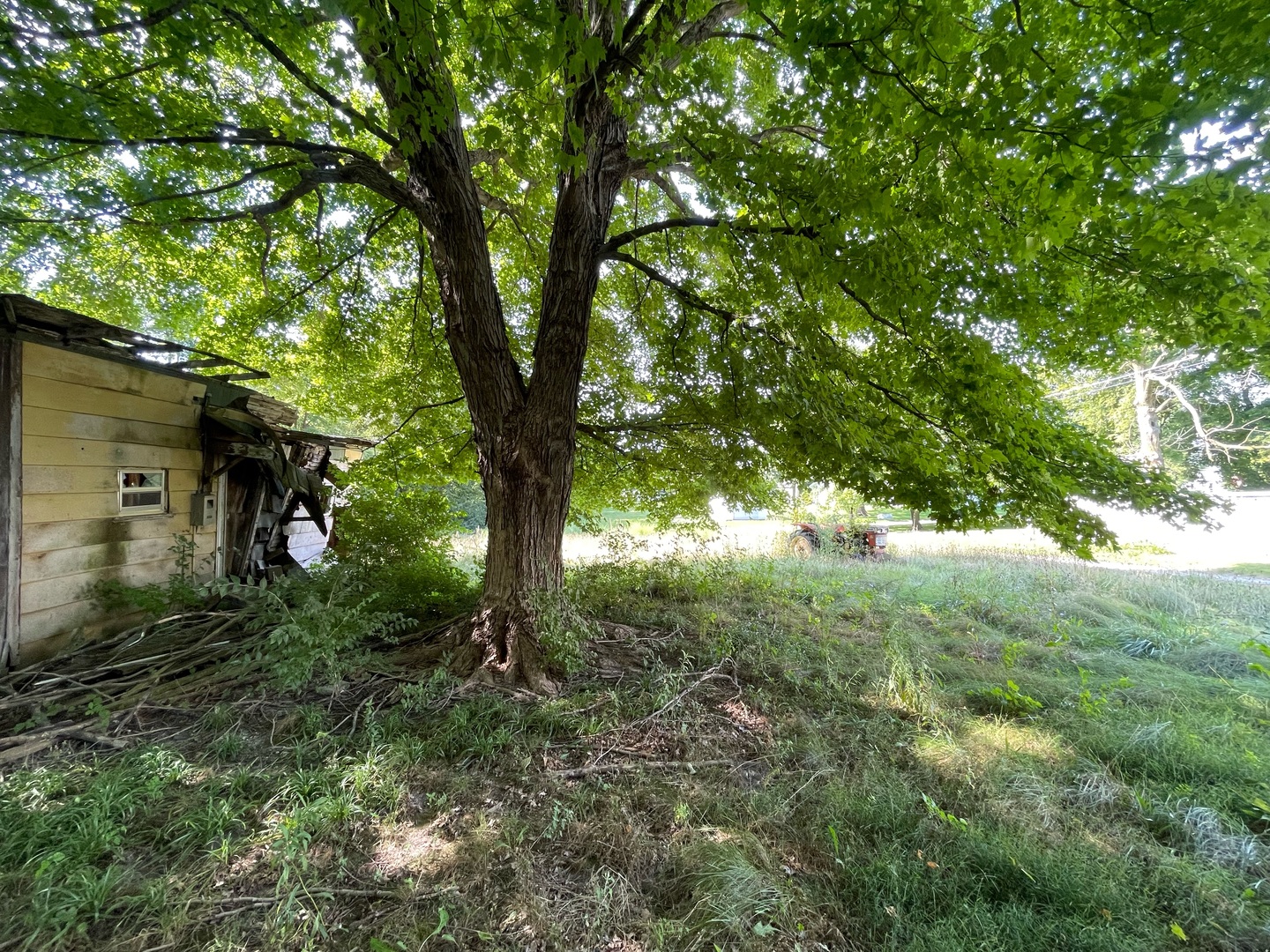 main property photo 7