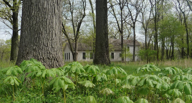 main property photo 20
