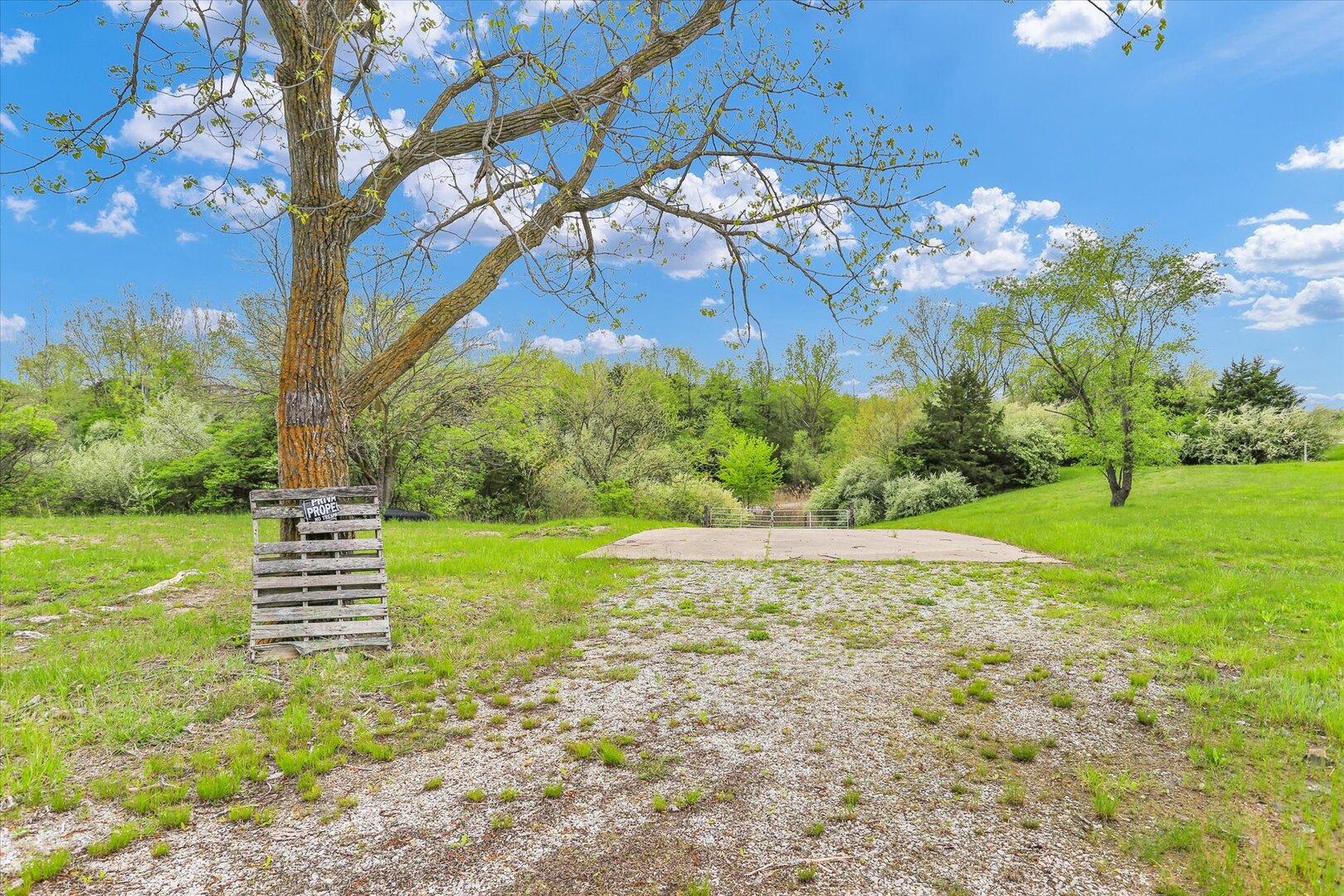 main property photo 15