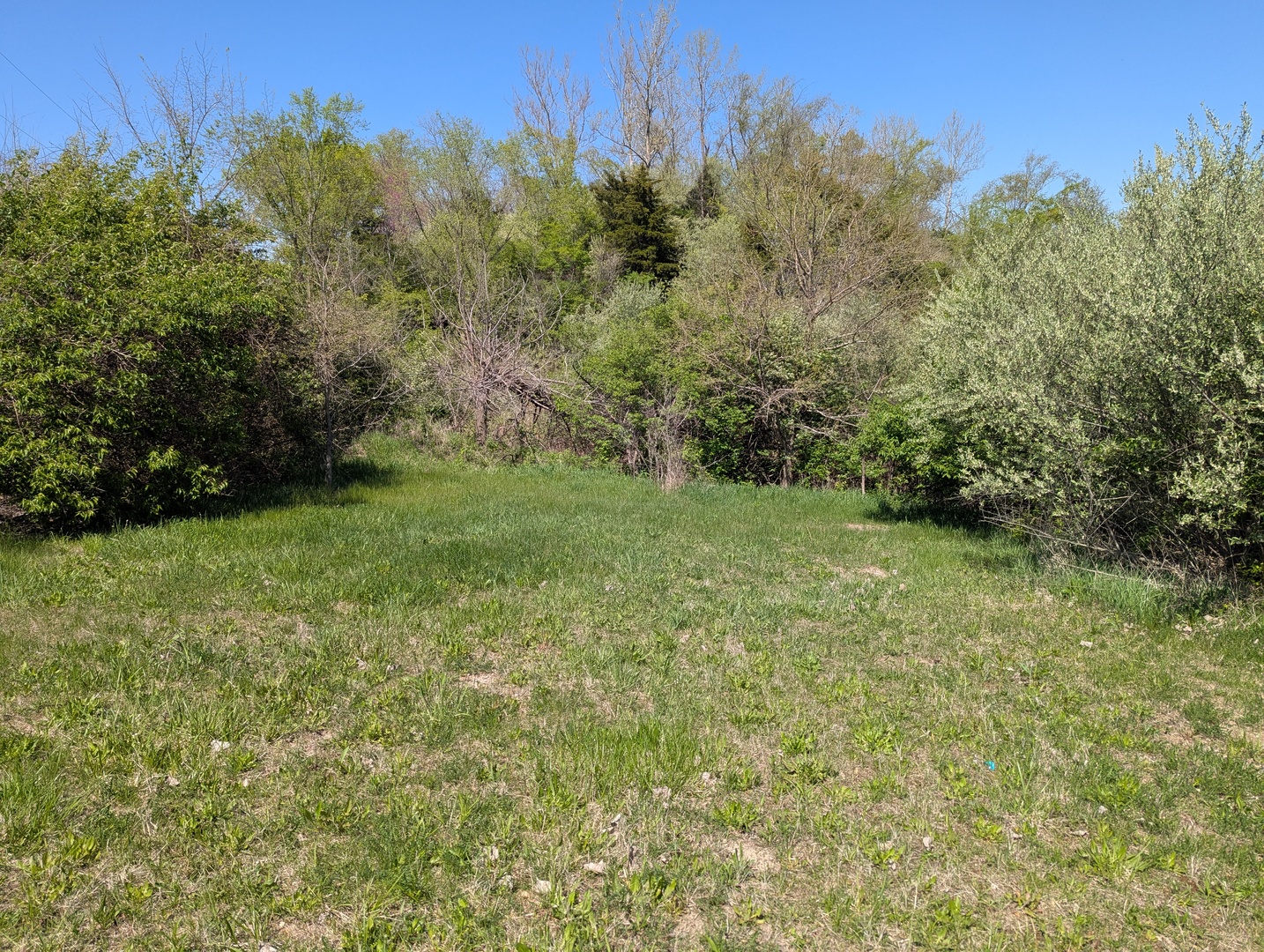 main property photo 9