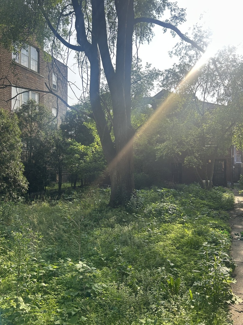 property viewer photo 4