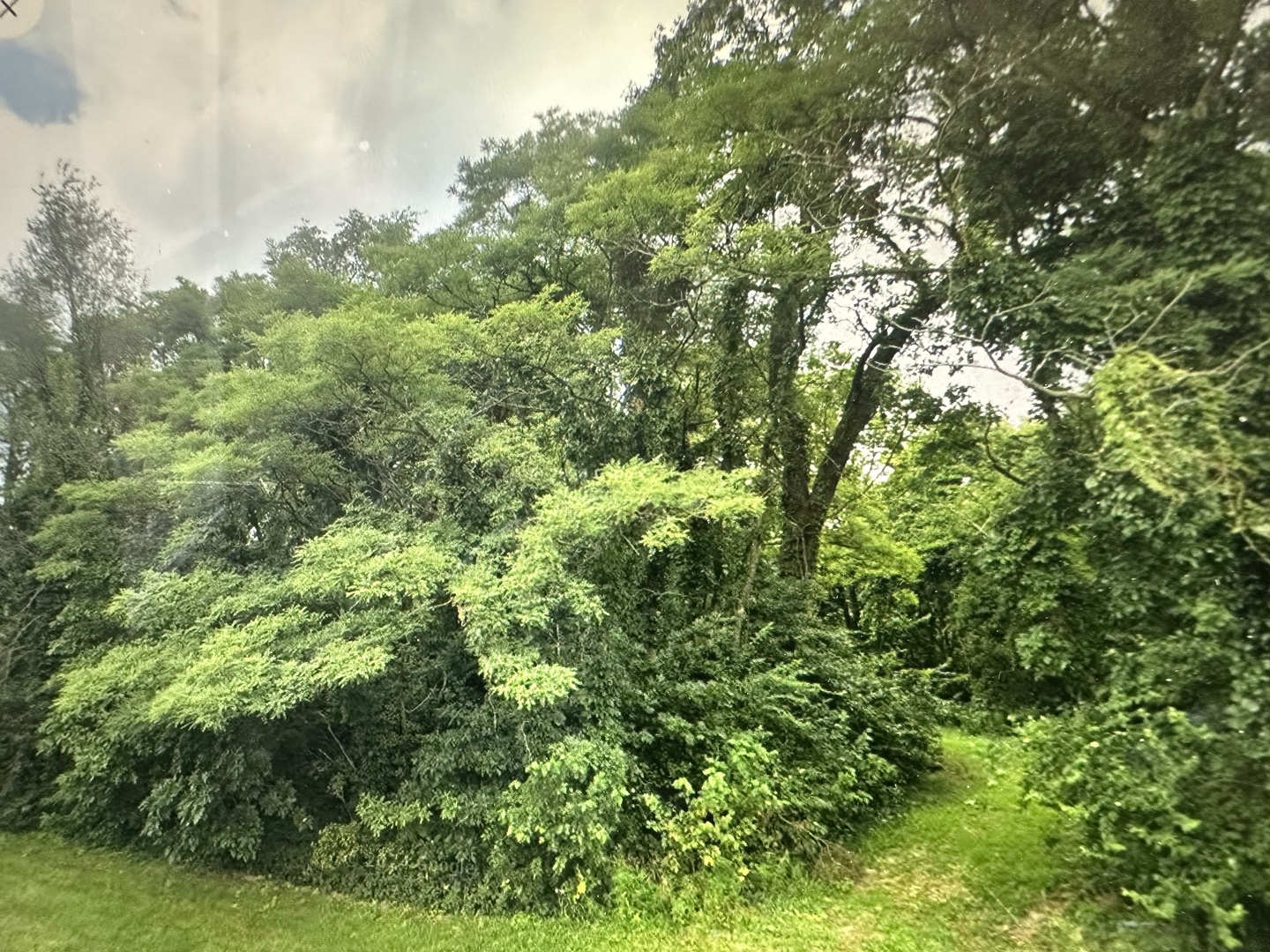 property viewer photo 3