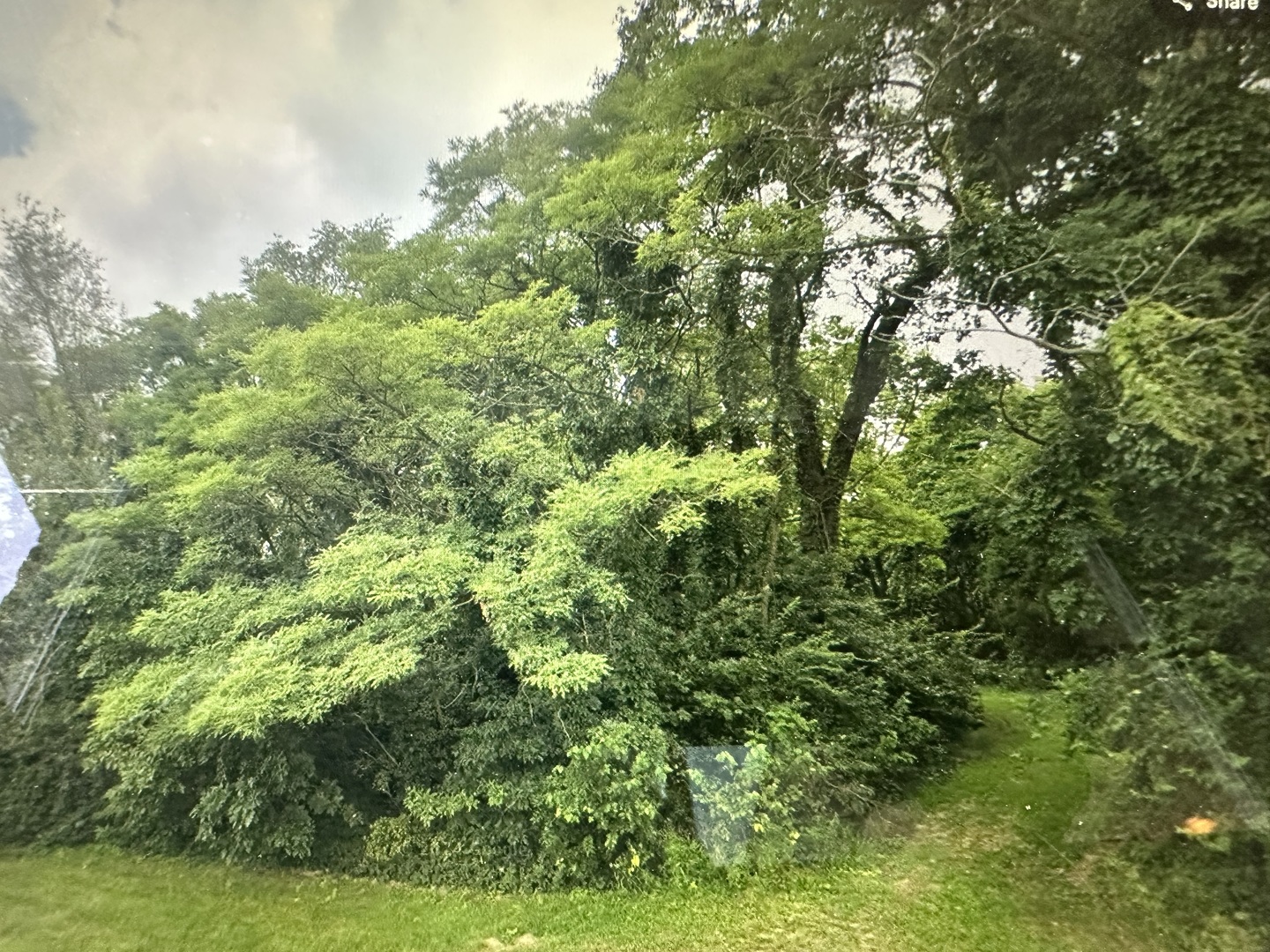 property viewer photo 4