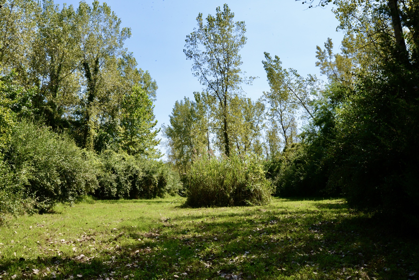 main property photo 42