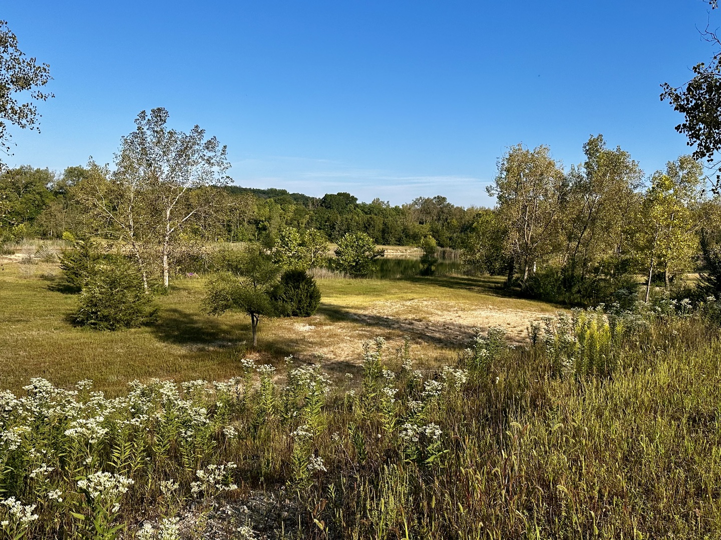 main property photo 43