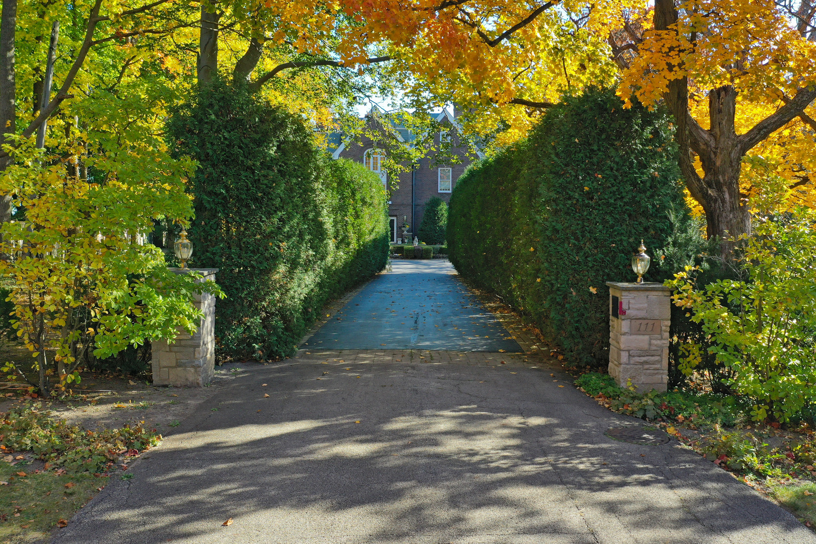 property viewer photo 4