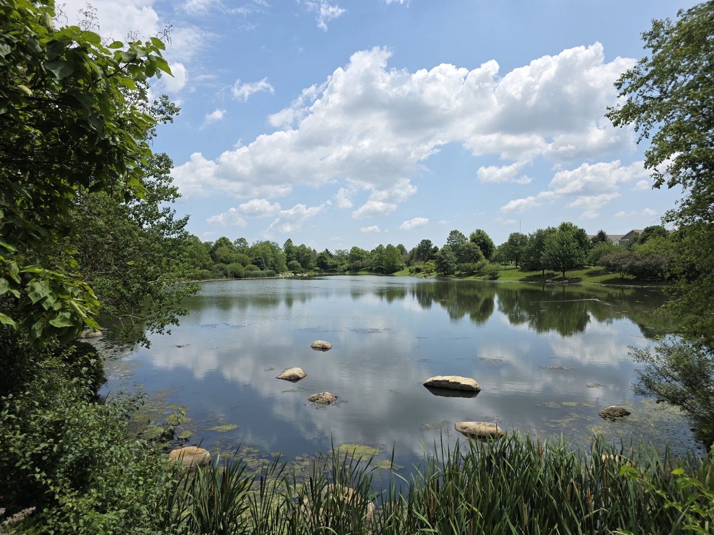 main property photo 18