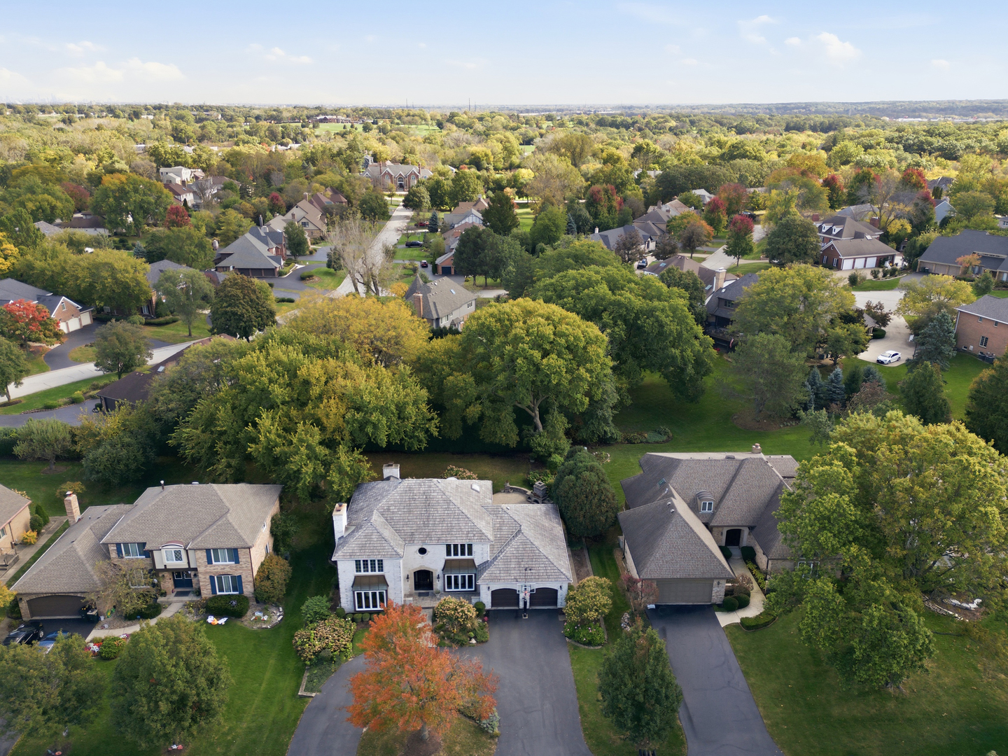 main property photo 56