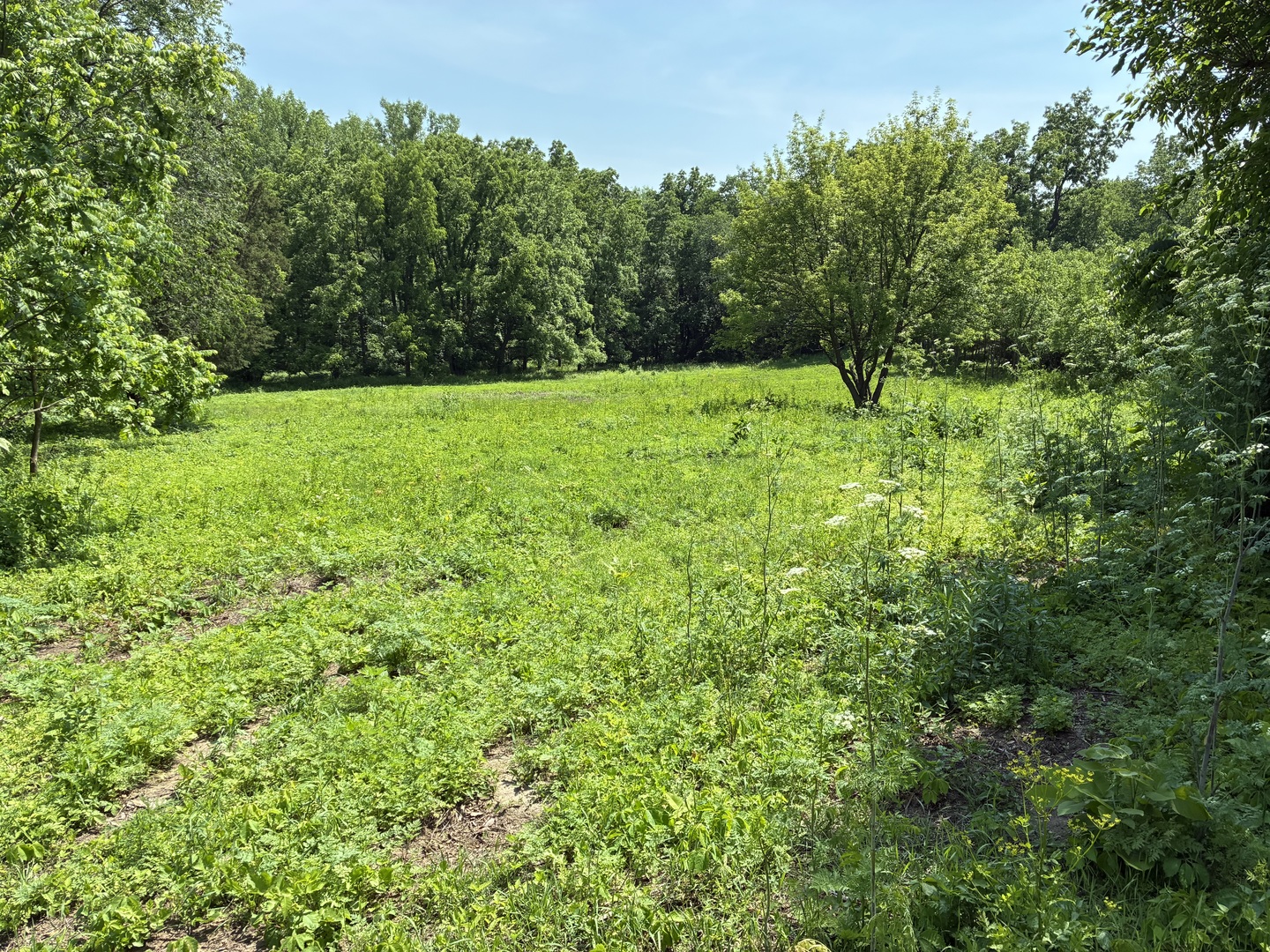 main property photo 19