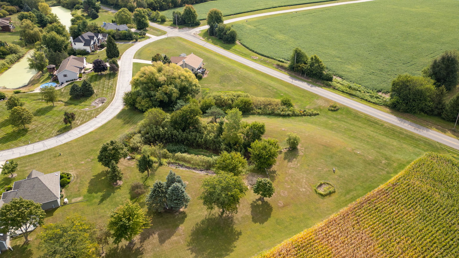 main property photo 5