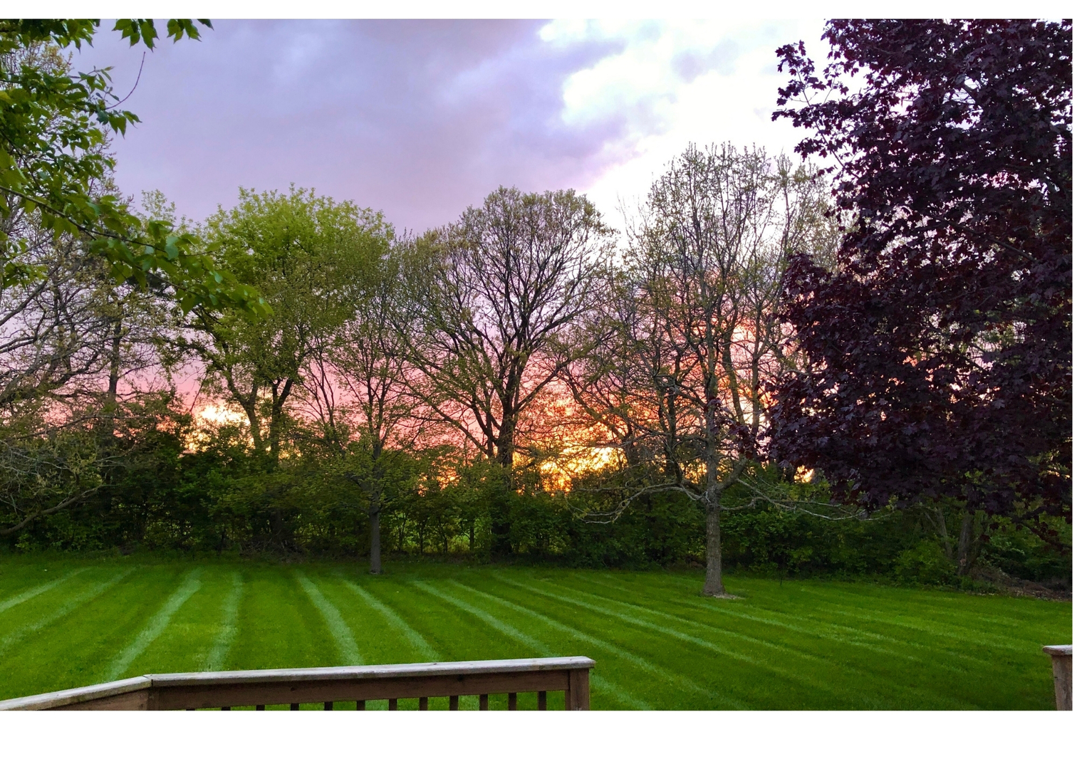 main property photo 46
