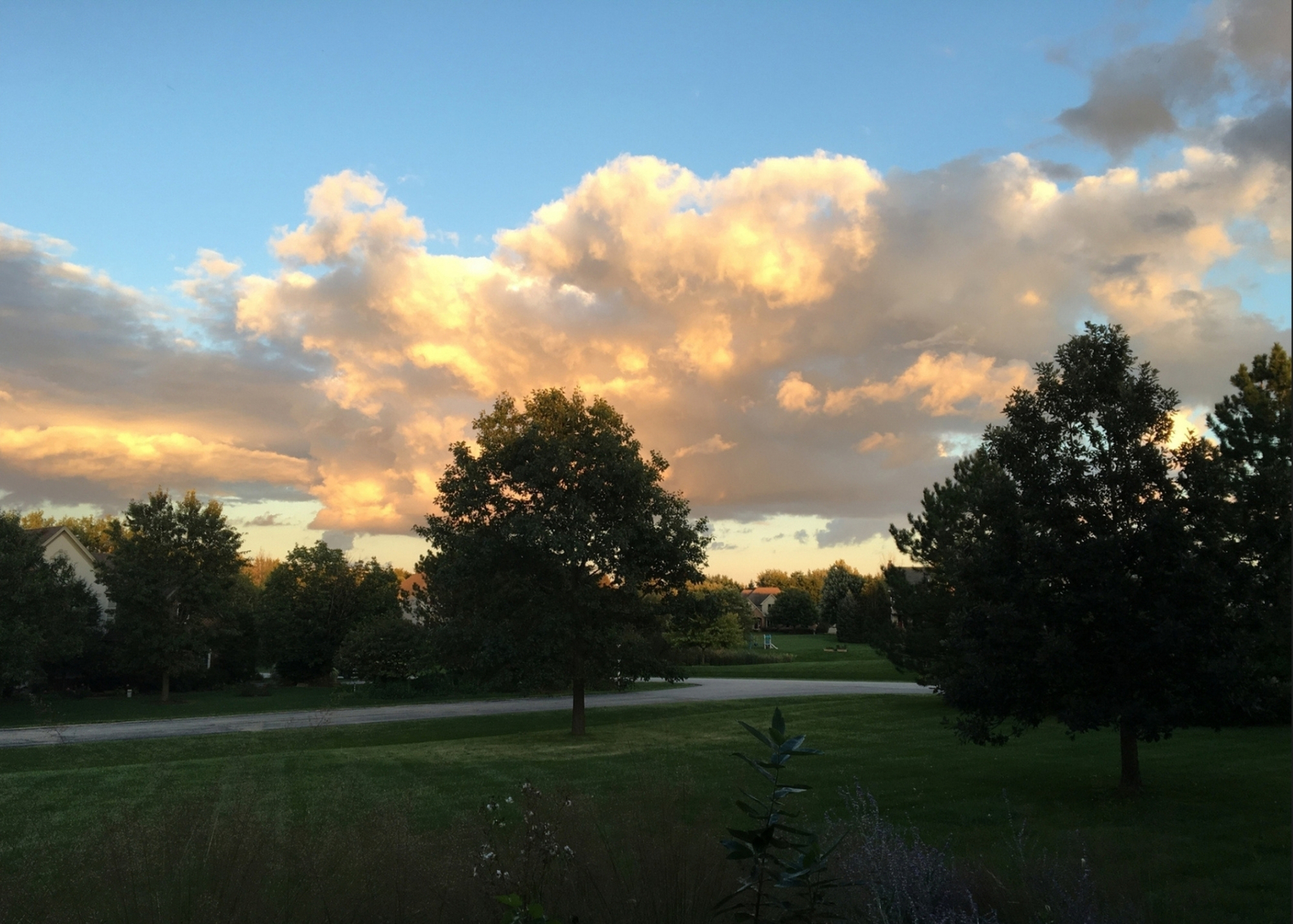 main property photo 48