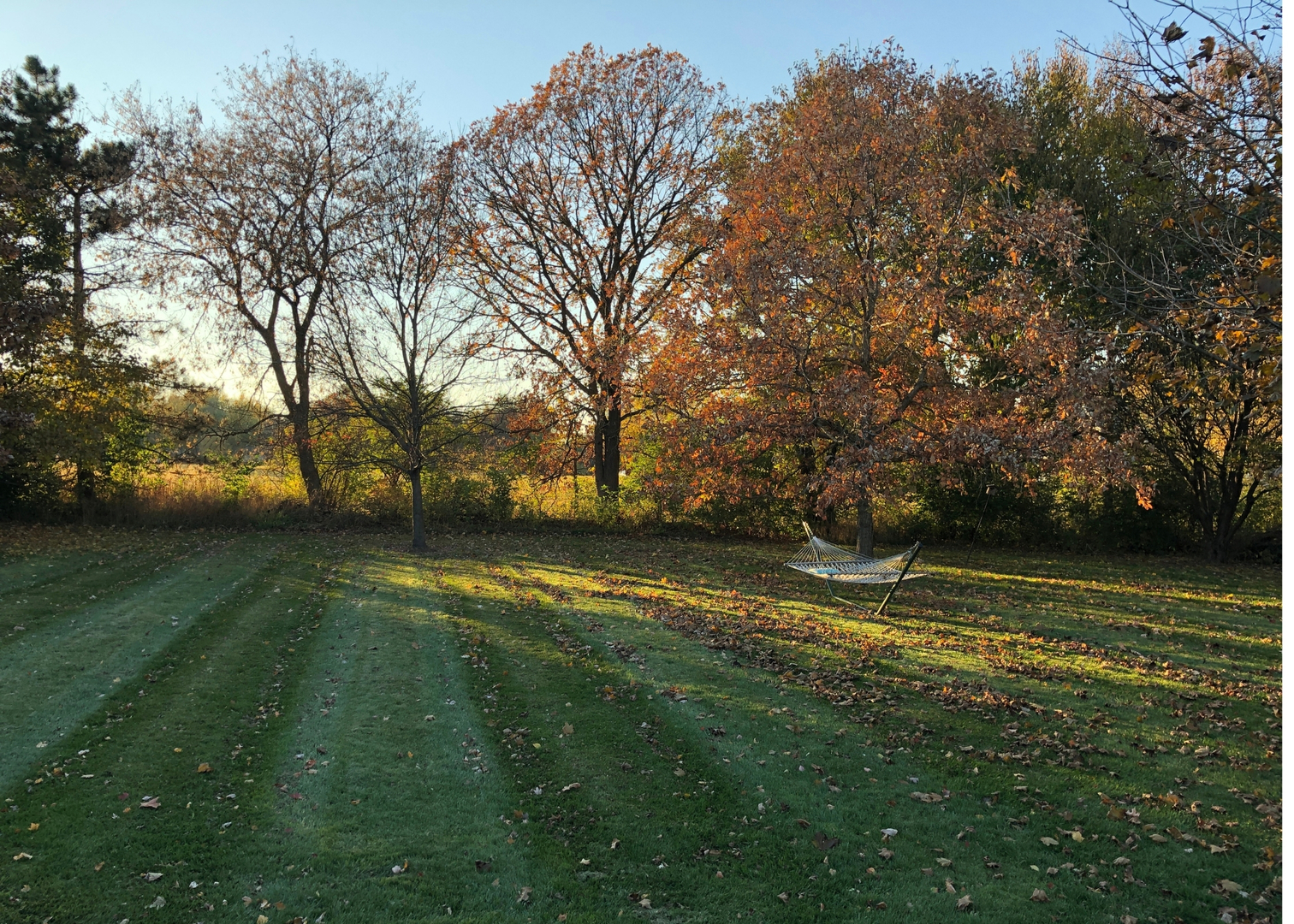 main property photo 49