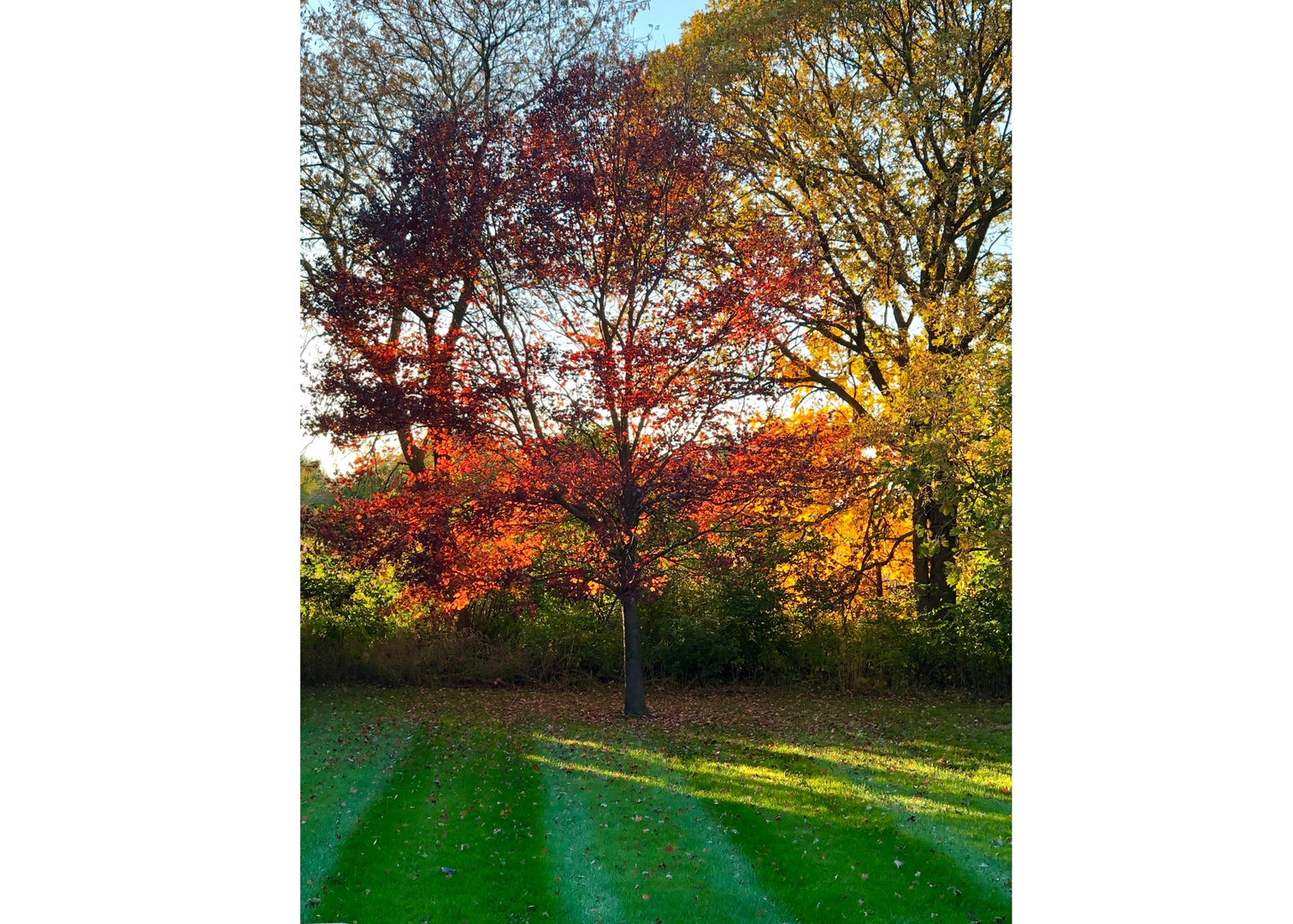 main property photo 50