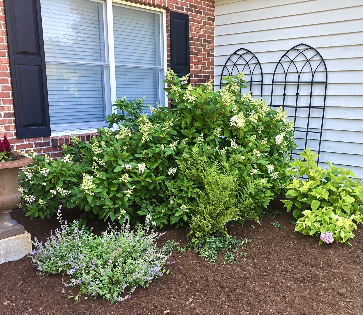 main property photo 58