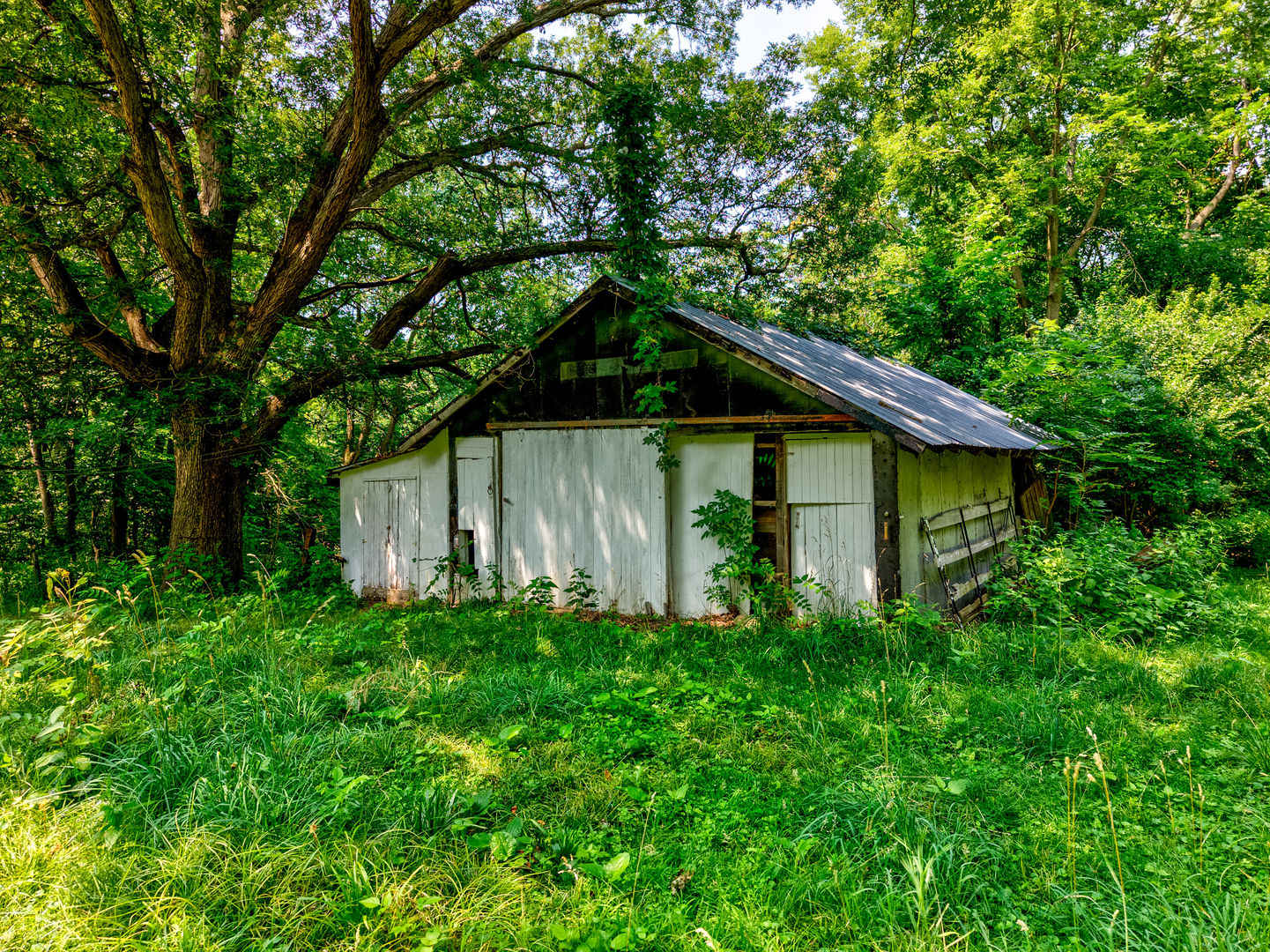 main property photo 51