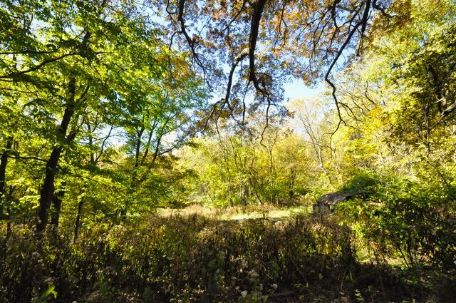 main property photo 52
