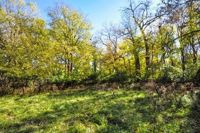 main property photo 55