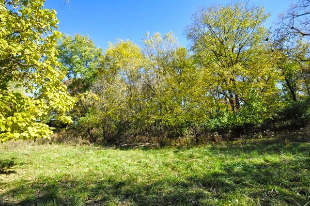 main property photo 56