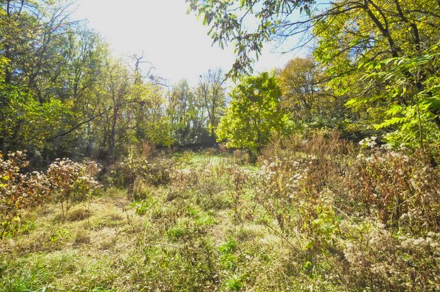 main property photo 57