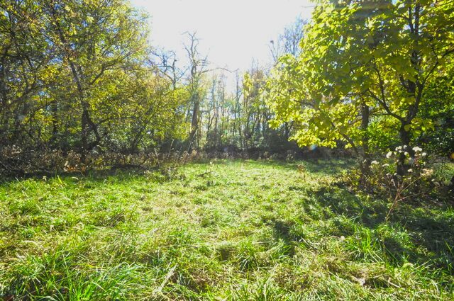 main property photo 58