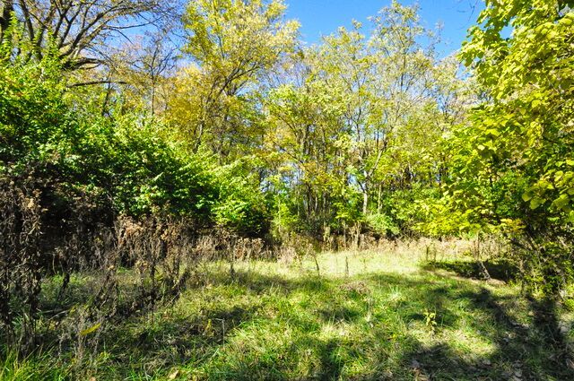 main property photo 59