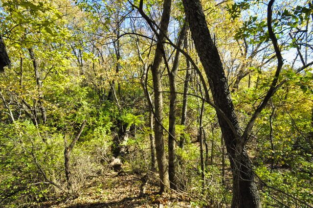 main property photo 61