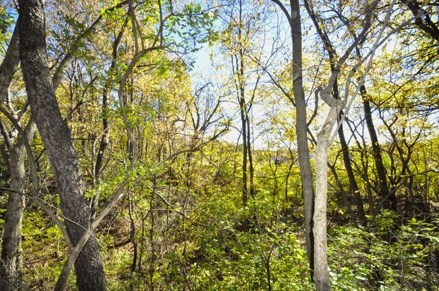 main property photo 62