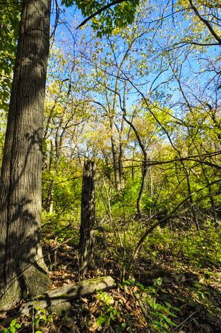 main property photo 64