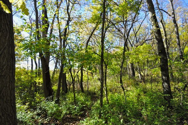 main property photo 65