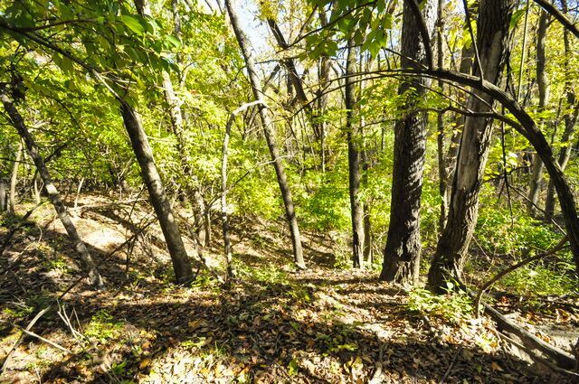 main property photo 66