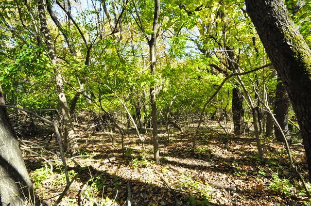main property photo 67