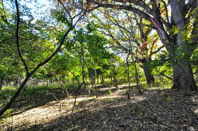 main property photo 68