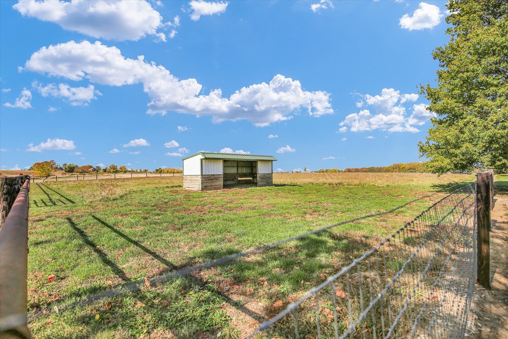 main property photo 42