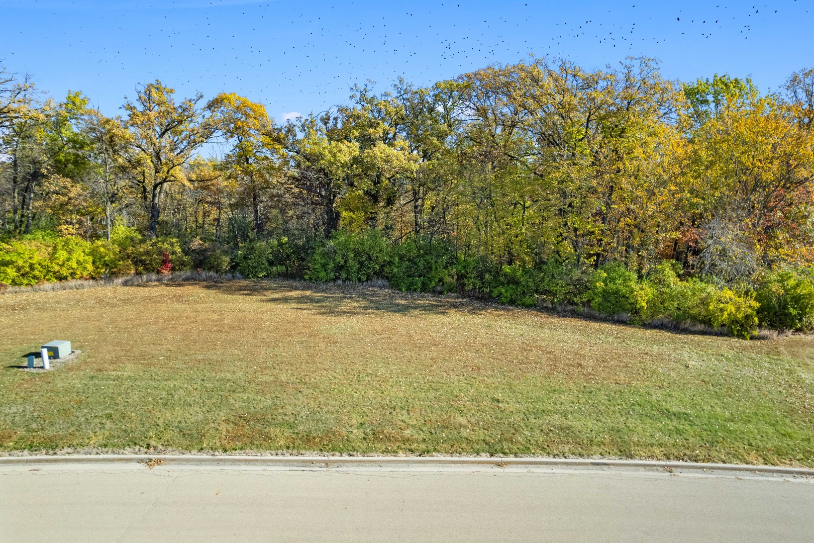 main property photo 12