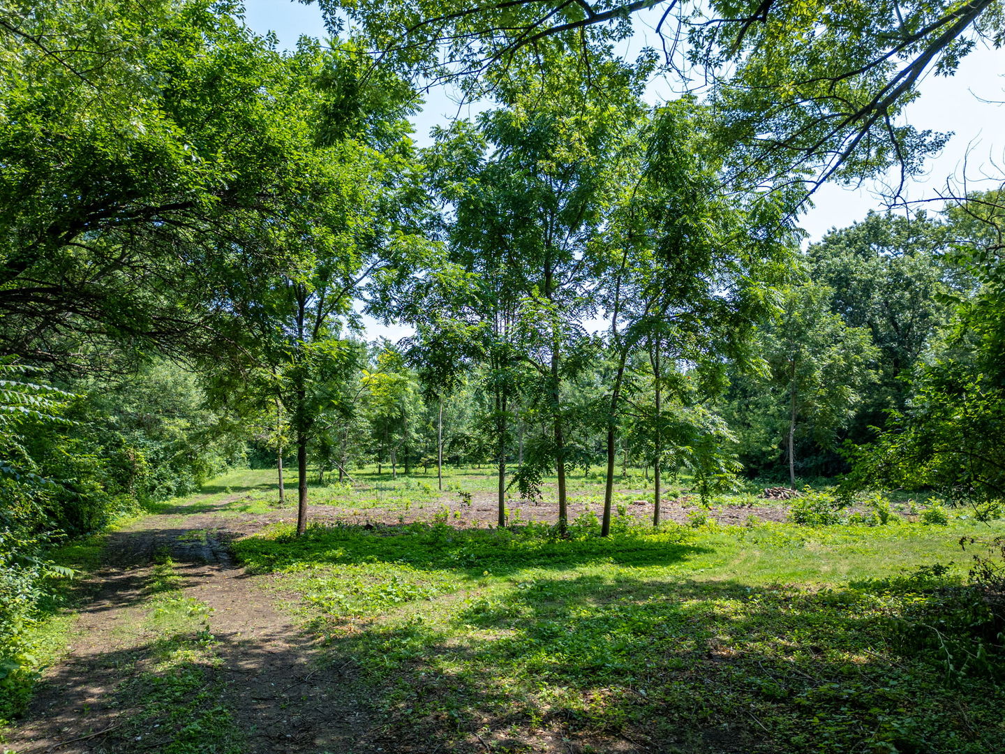 main property photo 6