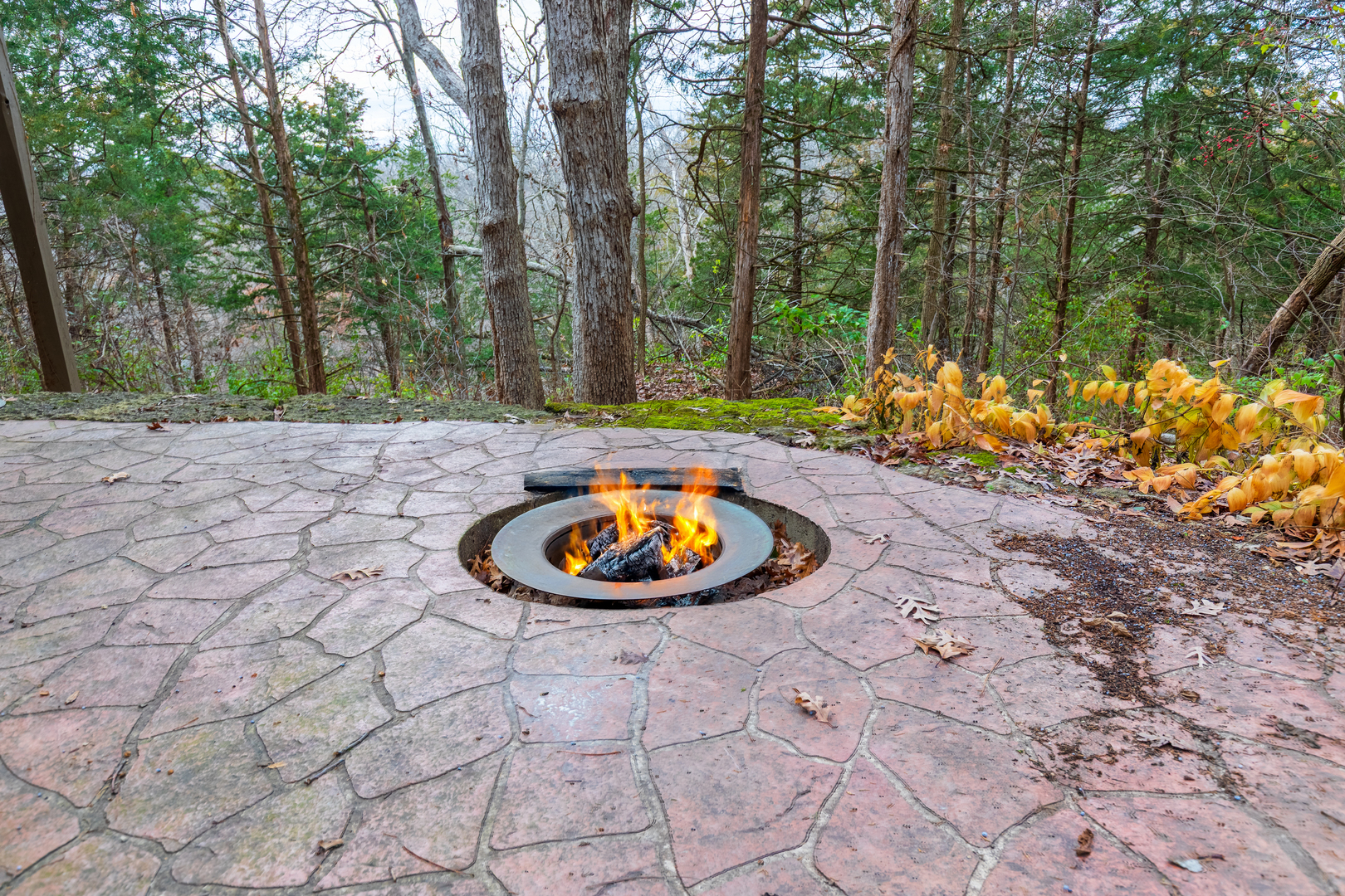 main property photo 57